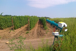 Keeping the birds away from the fruit